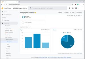 Visitor intelligence: demographics view