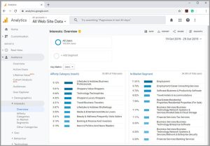 Visitor intelligence: interests view